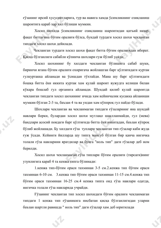 и 2-3 барг бутун, кейингилари эса кертикли бўлади. барг шапалоғи 3,5,7, та кертикли бўлганлигидан улар симметрик шаклда кўринади. баъзан битта ўсимликнинг ўзида жуфт сонли 2,4,6 , 8 кертикли, яъни носимметрик барглар хам учрайди. ғўзанинг исталган тур ва навлари орасидан 2 тадан 8 тагача кертикли баргларни топиш мумкин. қўшимча кертиклар барг шапалоғининг бир йўла иккала томонида хосил бўлиши ( масалан, 3 дан 5 га ёки 5 дан 7 кертикгача ўтиши мумкин. бу баргнинг рацемик вариация берадиган энантио-ўзгарувчанлик (ойнасимон ўзгарувчанлик) ходисасидир. ғўза барги бутун кертикли бўлишидан қатъий назар шакли юраксимон бўлади. баргнинг юрак шаклида бўлиши ғўза турига қараб хар хил даражада ифодаланади. барг шапалоғи кертикли, учбурчаксимон, яъни ўртасига нисбатан таг томони кенгроқ, гумбазсимон ва тухумсимон, яъни таг томони ўртасига қараганда энсиз ва наштарсимон бўлади. кертик баргларнинг чети текис ёки қисман арра тишли бўлиши мумкин. шапалоғини сатхи ғўзанинг турига, навига ва ўсиш шароитига қараб кескин даражада фарқ қилади, масалан 4 см дан 400 …
