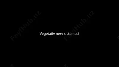 vegetativ nerv sistemasi — PPTX