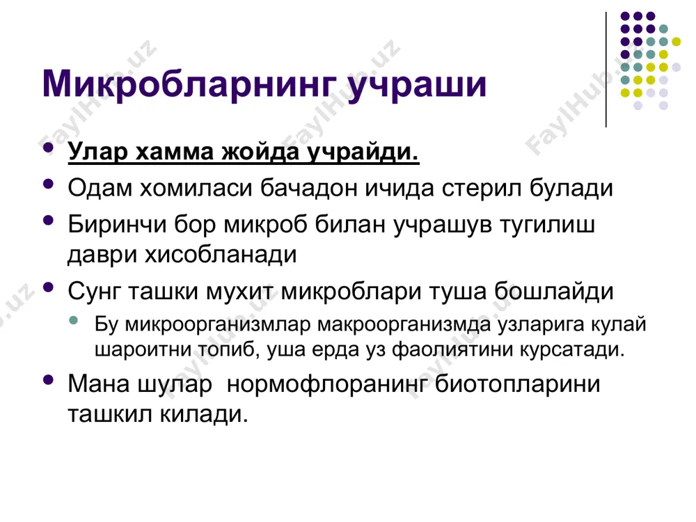 и ичакда микроорганизм янада кам, чунки у ерга ўт суюқлиги тушиб туради. лекин бу ерда хам баъзи бактериялар яшайди: лактобактериялар замбуруғлар энтерококклар 12 бармоқли ичакдан узоқлашган сари микроблар сони ортиб боради. йўғон ичак бифидобактерия бактероид лактобактерия пептострептококк легионелла клостридий катенобактерия эшерихия стафилококклар стрептококклар замбуруглар протей спирохеталар содда жониворлар 500 хил микроб ва 1 гр = 1014 кое булардан : 95% 3-5% нормал микрофлоранинг функционал аҳамияти мусбат овқат хазм килиш газ алмашиниш сув ва туз алмашиниш махаллий.иммун. витамин ишлаб чиқариш. манфий - дисбактериозлар инфекцион антибиотиклар пестицидлар рентген нурлари - + куйишдаги эндокрин дерматит гинекологик буйрак психик стоматологик