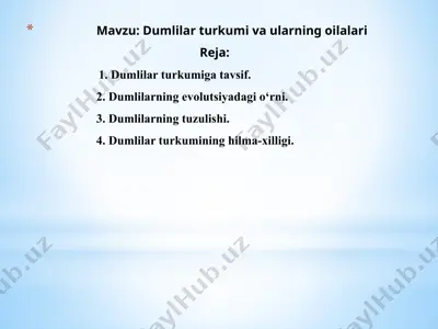 dumlia amfibiyalari — PPTX