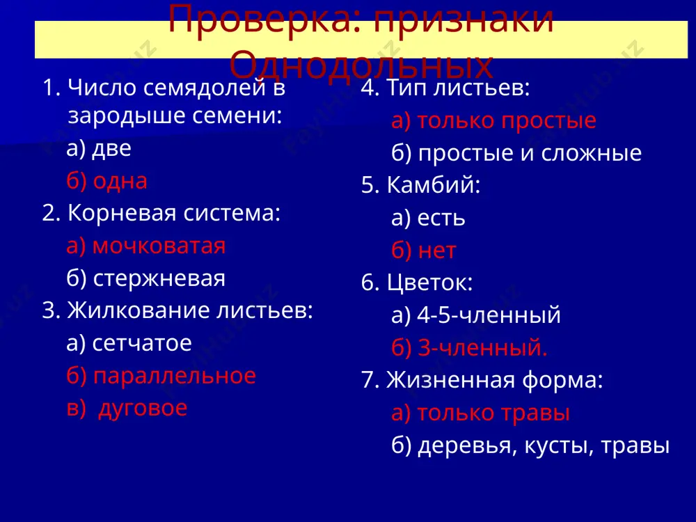 однодольные - Page 3