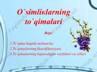 o`simliкlarning to`qimalari — PPTX