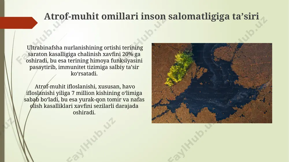 havoning ifloslanishi va uning inson organizmiga ta’siri - Page 4
