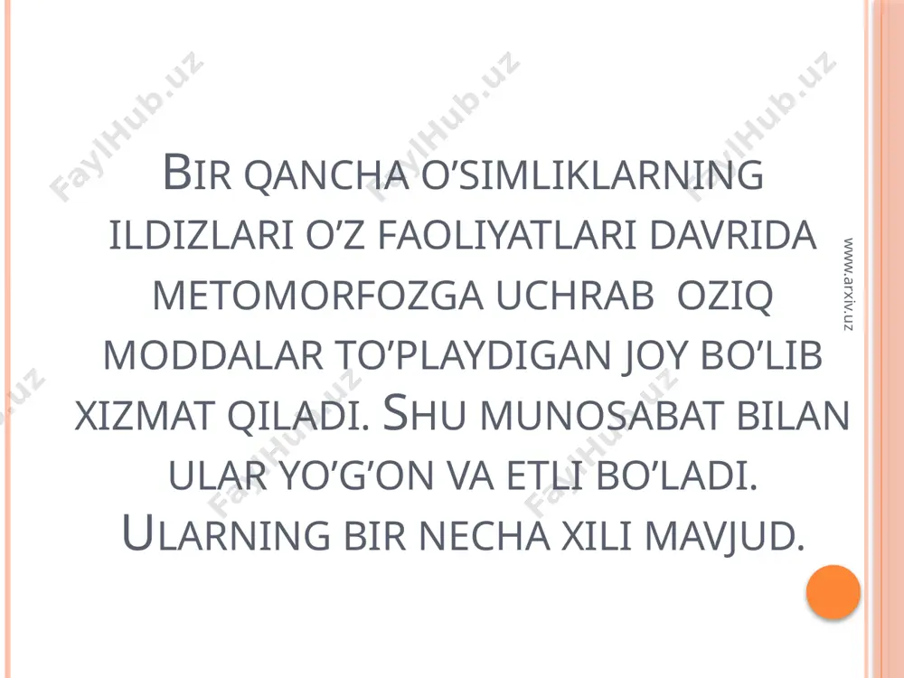 ildiz metomorfozi va uning anatomik tuzilishi - Page 4