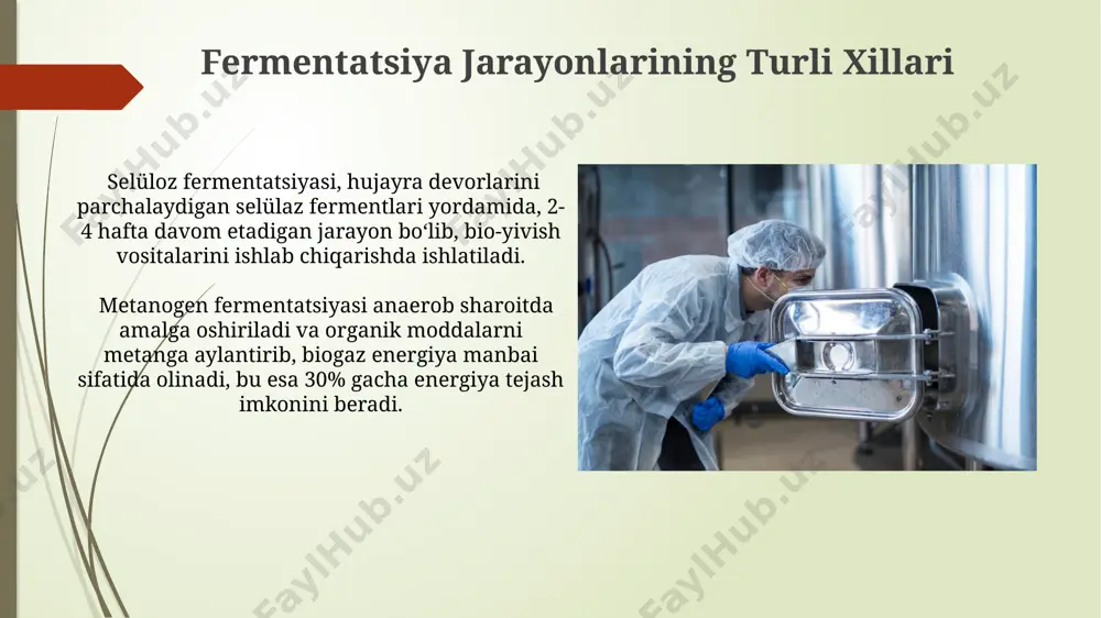 sut sanoatida mikrobli fermentatsiya - Page 5