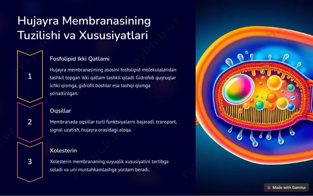viruslar, prokaryot va eukaryot hujayralar - Page 4