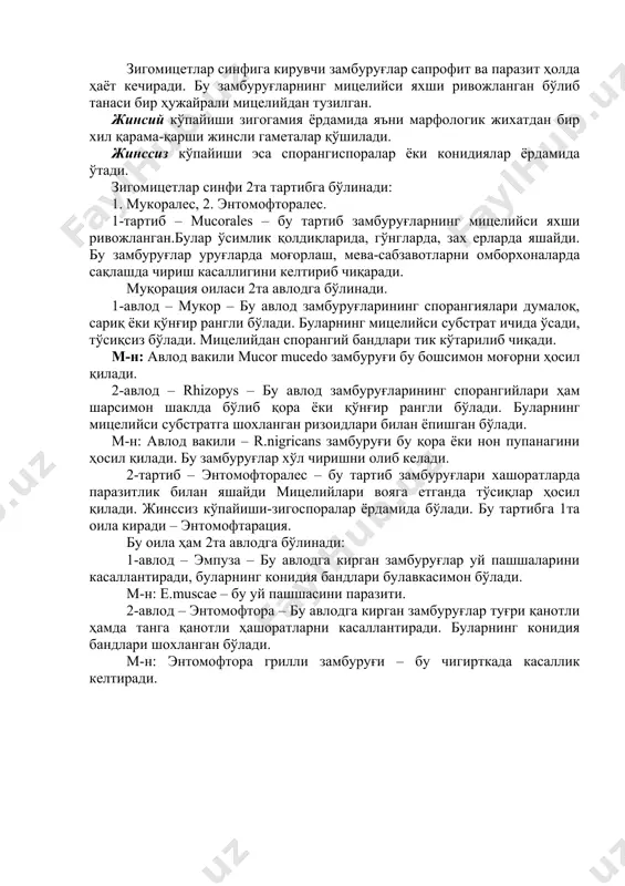 авлодга бўлинади: 1-авлод – эмпуза – бу авлодга кирган замбуруғлар уй пашшаларини касаллантиради, буларнинг конидия бандлари булавкасимон бўлади. м-н: e.muscae – бу уй пашшасини паразити. 2-авлод – энтомофтора – бу авлодга кирган замбуруғлар туғри қанотли ҳамда танга қанотли ҳашоратларни касаллантиради. буларнинг конидия бандлари шохланган бўлади. м-н: энтомофтора грилли замбуруғи – бу чигирткада касаллик келтиради.