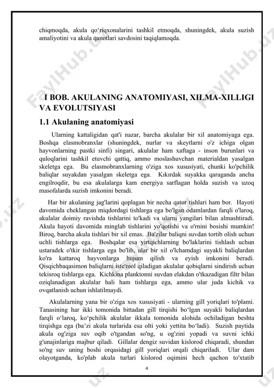 unajinlariga majbur qiladi. gillalar dengiz suvidan kislorod chiqaradi, shundan so'ng suv uning boshi orqasidagi gill yoriqlari orqali chiqariladi. ular dam olayotganda, ko'plab akula turlari kislorod oqimini hech qachon to'xtatib qo'ymasligiga ishonch hosil qilish uchun g'unajinlariga suv quyadi. bu og'izni pompalama deb ataladi va ko'plab akulalar tomonidan qo'llaniladi, ular vaqtini dengiz tubida o'tirib o'tiradilar, masalan, hamshira akulalari (ginglymostoma cirratum), farishta akulalari (squatina sp.) va wobbegongs (orectolobidae). ammo ba'zi akulalar suvni bu tarzda pompalay olmaydilar va agar ular suzish orqali og'ziga suv tiqishni to'xtatsalar, bo'g'ilib qoladilar. bu akulalarga katta oq akula (carcharodon carcharias), mako akula (isurus sp.) va kit akulasi (rhincodon typus) kiradi. ko'p million yillik evolyutsiya davomida akulalar bir nechta moslashuvlar tufayli okeandagi eng tez suzuvchilarga aylandi. birinchisi, ularning noyob terisi bo'lib, u millionlab kichik v shaklidagi plakoid tarozilardan iborat bo'lib, ular teri dentikullari deb ham ataladi. dentikulalar qatorlari bir yo'nalishda silliq bo'ladi - agar akula boshidan dumigacha "uy hayvonlari" bo'lsa …