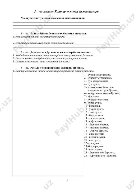___________ 9– __________________________________ 10– _________________________________ 11– _________________________________ 2. бош скелети расмидаги рақамларга мос келадиган номларни ёзинг. 1.__________________________________________ 2.__________________________________________ 3.__________________________________________ 4.__________________________________________ 5.__________________________________________ 6.__________________________________________ 7.__________________________________________ 8.__________________________________________ 9.__________________________________________ 10.__________________________________________ 11.__________________________________________ 12.__________________________________________ 13.__________________________________________ 14.__________________________________________ 15.__________________________________________ 16.__________________________________________ 17.__________________________________________ 18.__________________________________________ 19.__________________________________________ 20.__________________________________________ 21.__________________________________________ 22.__________________________________________ 23.__________________________________________ 24.__________________________________________ 25.__________________________________________ 26.__________________________________________ 3. қанот ва орқа оёқ скелети расмидаги рақамларга мос келадиган номларни ёзинг. 1._____________________ 2._____________________ 3._____________________ 4._____________________ 5._____________________ 6._____________________ i._____________________ ii._____________________ iii._____________________ iv._____________________ 1.________________________________ 2.________________________________ 3._________________________________ 4._________________________________ 5._________________________________ 6._________________________________ 7._________________________________ 8._________________________________ 5 – иш. мун