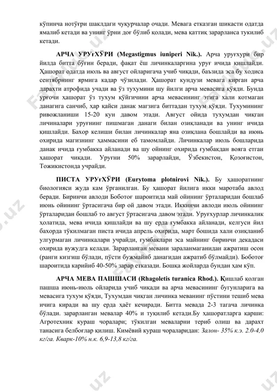 0% зарарлайди, ўзбекистон, қозоғистон, тожикистонда учрайди. писта уруғхўри (eurytoma plotnirovi nik.). бу ҳашоратнинг биологияси жуда кам ўрганилган. бу ҳашорат йилига икки маротаба авлод беради. биринчи авлоди боботоғ шароитида май ойининг ўрталаридан бошлаб июнь ойининг ўртасигача бир ой давом этади. иккинчи авлоди июль ойининг ўрталаридан бошлаб то август ўртасигача давом этади. уруғхурлар личинкалик ҳолатида, мева ичида қишлайди ва шу ерда ғумбакка айланади, келгуси йил бахорда тўкилмаган писта ичида апрель охирида, март бошида хали озиқланиб улгурмаган личинкалари учрайди, ғумбаклари эса майнинг биринчи декадаси охирида вужудга келади. зарарланган мевани зараланмаганидан ажратиш осон (ранги кизгиш бўлади, пўсти бужмайиб данагидан ажратиб бўлмайди). боботоғ шароитида карийиб 40-50% зарар етказади. бошқа жойларда бундан ҳам кўп. арча мева пашшаси (rhagoletis turanica rhod.). қишлаб қолган пашша июнь-июль ойларида учиб чиқади ва арча мевасининг бугунларига ва мевасига тухум қўяди, тухумдан чиқган личинка меванинг пўстини тешиб мева ичига киради ва шу ерда ҳаёт кечиради. битта мевада 2-3 тагача личинка бўлади. зарарланган …
