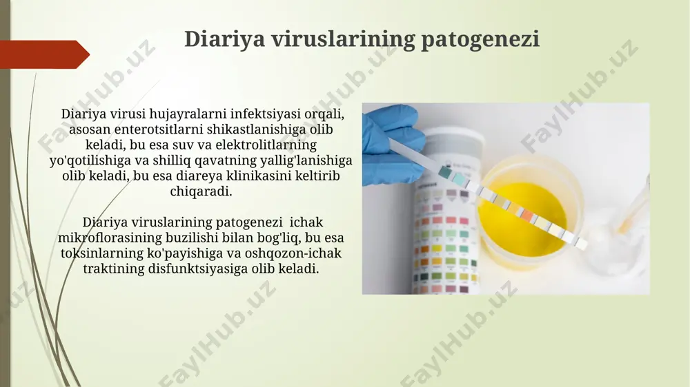 iga boʻlinadi, gi genotipida 8 ta, gii genotipida esa 20 dan ortiq genosubtip mavjud boʻlib, ularning har biri turli xil klinik koʻrinishlarga ega boʻlishi mumkin. diariya viruslari caliciviridae oilasiga mansub boʻlib, norovirus va sapovirus kabi 2 ta asosiy genotiplarga boʻlinadi, ularning har biri bir qancha serotip va genosubtiplarga ega. diariya virusli infektsiyalarining klinik ko'rinishi virusli diareya 1-3 kun davom etadi, ammo ba'zi hollarda, immuniteti zaiflashgan bemorlarda, dehidratatsiya xavfi yuqori bo'lib, davolash 7 kungacha cho'zilishi mumkin. rotavirus infektsiyasi 6 oylikdan 2 yoshgacha bo'lgan bolalarda ko'proq uchrab, og'ir dehidratatsiyaga, elektrolitlar muvozanatining buzilishiga olib kelishi mumkin. e'tiboringiz uchun rahmat @taqdimot_robot image1.jpg image2.jpg image3.jpg image4.jpg image5.jpg image6.jpg image7.jpg image8.jpg image9.jpg image10.jpg image11.jpg image12.jpg image13.jpg image14.jpg image15.jpg image16.jpg image17.jpg