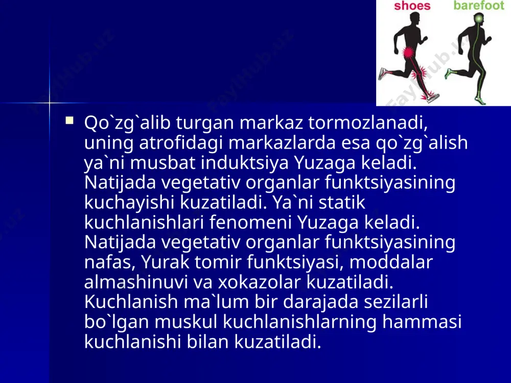 sportmashqlarining fiziologik tasnifi va ta'rif - Page 5