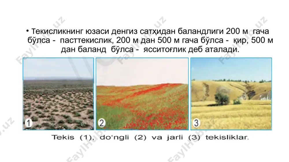 ер юзасининг релефи - Page 4