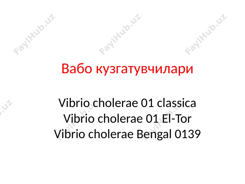 ashtirish rejani amalga oshirish natijalarni baholash bemor shikoyatlari: - ichning suvsimon, badbo’y, hidli ketishi -ishtahaning yo’qligi -umumiy quvvatsizlik ob’ektiv tekshirish natijalari: -teri rangi oqimtir -teri quruq turgorligi pasaygan -teri harorati pasaygan -puls tez va sust -yurak tonlari bo’g’iq-arterial bosim pasaygan -tili quruq - qorni qapchigan, ichga tortilgan. -najas suvsimon va xom baliq hidli. -pasternastskiy belgisi manfiy, siyishi kam. mavjud muammolar: -ichning suvsimon, b’dbo'y , hidli ketishi. -ishtahaning yo’qligi. -umumiy quvvatsizlik. bo’lishi mumkin bo’lgan muammolar: - gipovolemik shok. 1. shifokorni chaqirish. 2. yotoq rejimi. 3. osoyishtalik yaratish. 4. qon bosimi, nafas, puls monitoringini olib borish. 5. tana haroratini me’yorlashtirish. 6. suvsizlanishni oldini olish. 7. bemor ahvolini muntazam kuzatib borish. 8. shifokor tavsiyasi bajarish. 1. shifokor chaqirildi. 2. yotoq rejimi buyurildi. 3. osoyishtalik yaratildi. 4. qon bosimi, nafas, pulsi tekshirildi. 5. tana harorati me’yorlashtirildi. 6. ko’p miqdorda suyuqlik ichirildi. 8. shifokor tavsiyasi bajarildi (v/i ko’p miqdorda suyuqlik quyildi). 1. bemor tinchlandi. 2. …