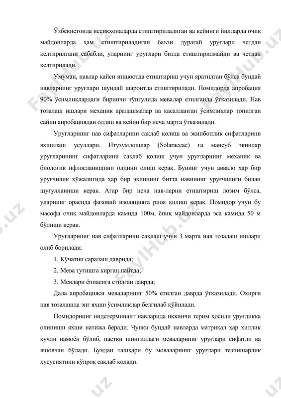 арини ювиш ва уруғларн ажратиб олиш учун бтс-1,5 ва мпп-1,5 маркали машиналар ишлатилади. ажратиб олинган уруғлар бочка ёки бошқа идишларга солиниб устидан помидор шарбати қўйилади ва уруғ устидаги шилимшиқ пардаси емирилиб кетгунча бижғитиб қўйилади бу даврда бошқа сув қўшилмаслиги керак, акс ҳолда уруғлар униб бошлаши мумкин. уруғларни ҳаво ҳарорати 200с да 6 кун, 250 дан юқори бўлса бир кундан кейин ювиб олиш керак. кейинги йилларда уруғларни бижғитмасдан кислород билан тўйинтирилган сув билан ювиб ажратиб олиш кенгаймоқда. бунинг учун помидор турлича 3% ли хлорид кислотасидан 1:1 нисбатда қўшилса уруғларни бижғитмасдан 30-40 минутдан кейин ювиб олиш мумкин. бунда уруғ олиш тезлашади ва унинг юзаси ҳар хил инфек​циялардан тоза бўлади. уруғлар фанера, коноп, мато ёки капрон тўр тутиб тайёрланган ғалвурлар устига 1-2 см қалинликда тўқилиб куритилади. катта пар​тиядаги уруғлар мос-300 машинасида ювилиб 40-450с ҳароратни таъминловчи қуритиш мосламасида намлиги 11% гача қуритилади. бундай уруғлар к-218/1 ва к-531/1 маркали машиналар, ҳаво ёрда​мида сараловчи псс-2,5 маркали …