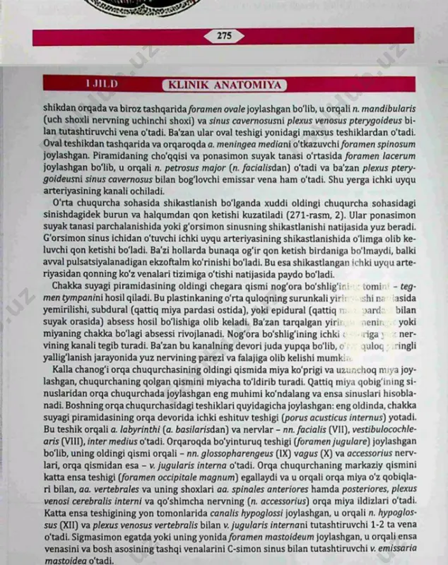 bosh suyagi o'rta chuqurchasi haqida ma'lumot - Page 2