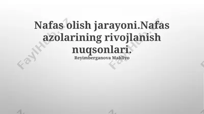 nafas olish jarayoni — PPTX