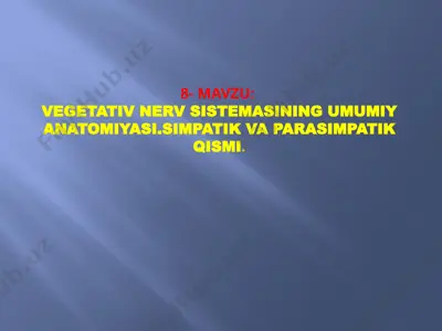 vegetativ nerv sistemasi — PPTX