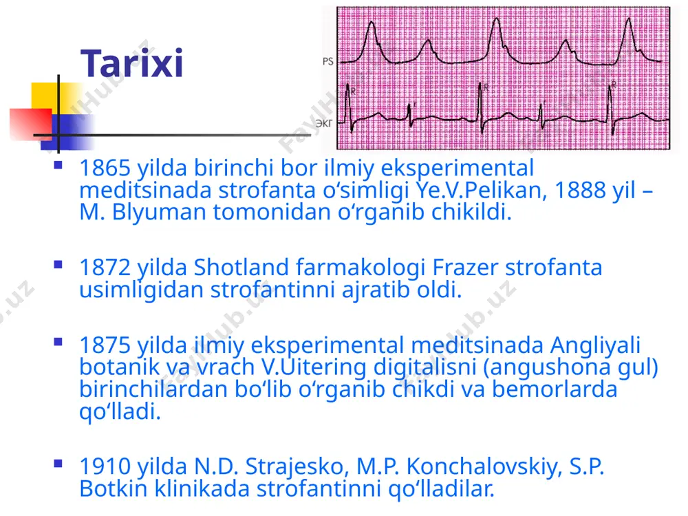 n kam boglanadigan, deyarli biotransformatsiyaga uchramaydigan va asosan buyraklar orkali chikarib yuboriladigan preparatlar. bu gurux preparatlariga strofantin va korglikon lar kiradi. nopolyar (lipofil yoki yogda eruvchilar) yurak glikozidlari – oshkazon-ichak yullaridan yaxshi suriluvchi, kon plazmasi oksillari bilan yukori darajada boglanuvchi, jigarda biotransformatsiya buluvchi, buyraklar orkali fakat ularning suvda digitoksin. eruvchi metabolitlari ekskretsiya buluvchi preparatlar. bu guruxga kiruvchi preparatlarini lipofilligini ortishi buyicha kuyidagi tartibda joylashtirish mumkin: izolanid < digoksin < metildigoksin < atsetildigitoksin < yurak glikozidlarini farmakodinamikasi (ta’sir mexanizmi) yurak glikozidlari miokardiotsitlarda na+,k+ - atf aza (natriy nasosi) susaytirib, sitoplazmada natriy ionlarini to‘planishiga olib kladi, u uz navbatda sa2+ chikishini tuxtatadi. oxir okibatda yurak glikozidlari xujayra ichidagi aktin-troponin-tropomiozin kompleksi bilan boglanuvchi sa2+ konsentratsiyasini ortishiga olib keladi va aktin xamda miozinni uzaro munosabatlarini stimulaydi. bu ta’sir mexanizmi natijasida yurakni elektrofiziologiyasida uziga xos uzgarishlarni keltirib chikaradi. yurak glikozidlarini yurak elektrofiziologiyasiga asosiy ta’sirlari pse – parasimpatik effekt; bevosita – membranalarga tugridan tugri ta’sir; ↑ …