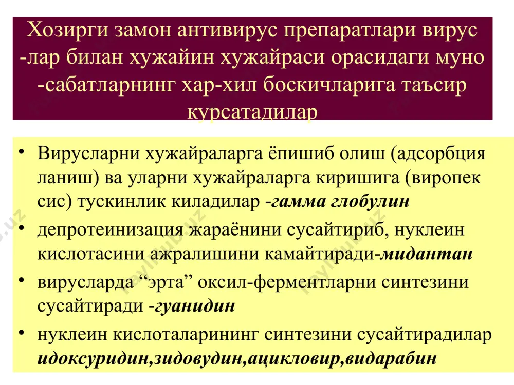 са улимни 30-75% га камай тиради.ураб олувчи темиратки, герпетик керотоконъ юнктивитлар, иидоидоксуридинга аллергия булганда ва у самарасиз булганда кулланилади.махаллий сал - бий таъсири йук.нейротоксик таъсир (галлютинация, психоз,тремор), диспепсия,тромбофлебит,аллергия . . метисазон кучли антивирус таъсирига эга, айникса чечак вирусига.вирионларни йигилиш жараёни ва структур оксил синтезини сусайтиради. асос чечакни профилактикаси ва чечка ваксинаси асоратларини камайтириш учун, кайталанув- чи генитал герписни даволашда кулланилади нохуш таъсири:диспепсия, гепатотоксик, неф-ротоксик. меъда яра хасталигида куллаш мумкин эмас. зидовуддин (ретровир) хужайрада фосфорланиб трифосфатга айланади ва вирионларнинг тескари транскриптазасини сусайтириб, вируслар рнксидан днкни хосил булишига тускинлик килади. митдан яхши сурилади.гэб яхши утади.п-тни эрта куллаш керак.даволаш 6-8 ой давом этади. зидовудин хасталикни ривожланишинигина тух тади.унга ретровирусларни чидамлилиги ривож ланади. нохуш таъсири:гематологик узгаришлар-анемия нейтропения,тромбоцитопения,панцитемия,нефр ротоксик,уйкусизлик,бош огриги,миалгия саквинавир кучли антивирус таъсирга эга. вич-1 ва вич-2 протеазаларининг кучли ингибитори хисоблана ди.саквиновир митдан ёмон сурилса хам кон- да керакли концентрация хосил килади. асосан энтерал йул билан киритилади. вирусларни ун- га чидамлилиги ривожланиши мумкин.шу саб- …