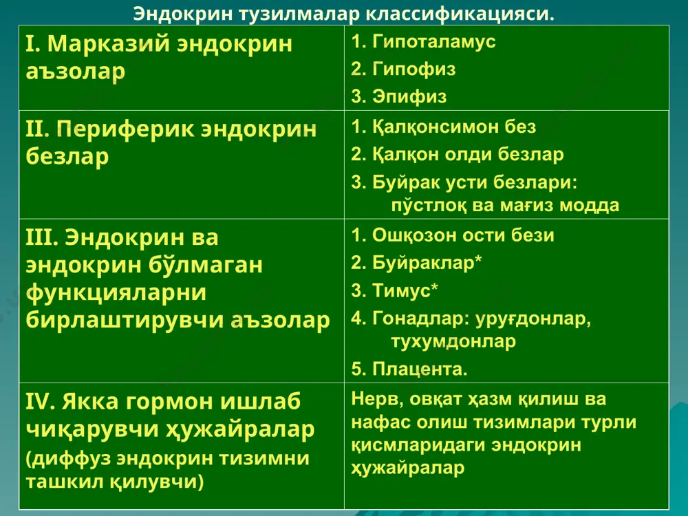 9 – орқа бўлак, 10 – капсула гипофиз: олдинги (юқорида) ва орқа (пастда) бўлаклар. улар орасидаги катта бўлмаган кистасимон мухит – ратке чўнтаги қолдиқлари. гипофизнинг олдинги бўлаги. хромофоб ҳужайралар (қора стрелка), ацидофил ҳужайралар (қизил стрелка), базофил ҳужайралар (кўк стрелка). гипофиз олдинги бўлаги хромофил аденоцитларининг ультраструктураси (схема) 1 – тиреотропоцит, 2 – соматотропоцит 3 – лактотропоцит, 4 – гонадотропоцит 5 – кортикотропоцит 6 – донадор эпт, 7 – пластинкасимон комплекс, 8 – митохондрия, 9 – секретор гранулалар, 10 – аденоцитнинг базал мембранаси, 11 – капиллярнинг базал мембранаси, 12 – капилляр эндотелийси фенестралари, 13 – эритроцит. гипофиз асосий гормонлари таъсири. тиреотропоцит 10 – аденоцитнинг базал мембранаси, 11 – гемокапилляр-нинг базал мембранаси 12 – капилляр эндотелийси фенестралари, 13 – эритроцит гипофизнинг соматотроп ҳужайраси лактотропоцит гипофиз олдинги бўлагининг хромофоб ҳужайраси. гипофизнинг орқа бўлаги. херринг таначалари (стрелка) – гипоталамик нерв терминалларининг кенгайиши, улардан адг ва окситоцин ажралади. бу гормонлар турли херринг таначаларидан ажралади, бу эса …