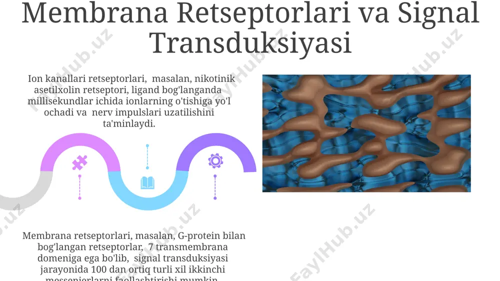 biologik membranalar - Page 5