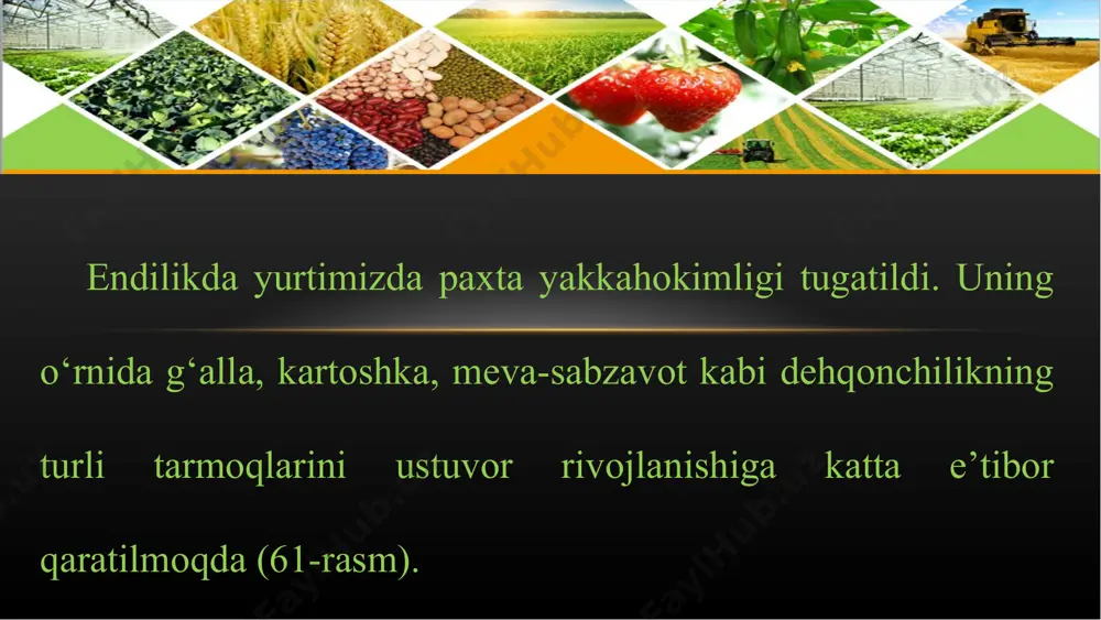 o‘zbеkistоndа qishlоq хo‘jаligining gеоgrаfik tiplаri 8-sinf - Page 5