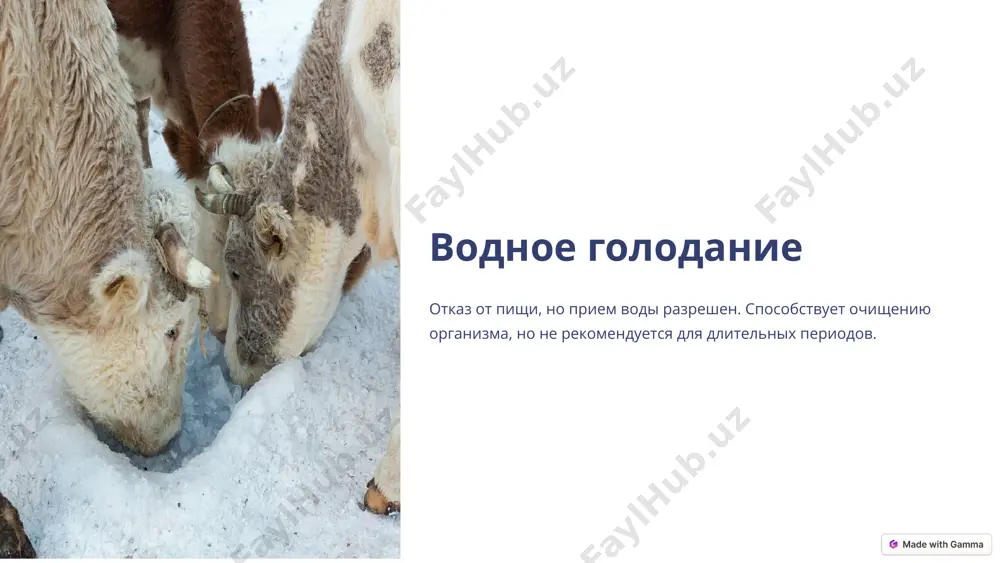 голодание и его виды - Page 5