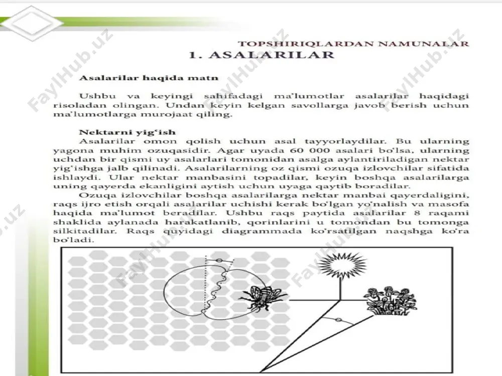 pisa bo’yicha mashq daftari - Page 2