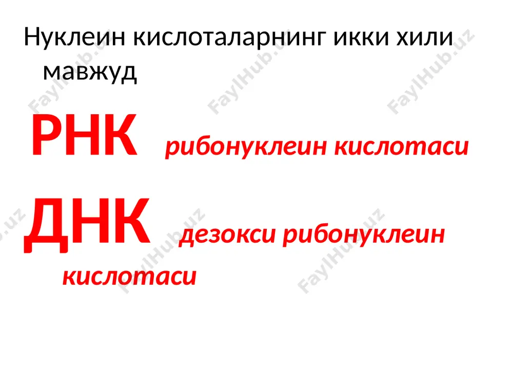 (гмр) деярли барча хужайраларда учрайдиган аденозин-3’, 5’-циклофосфат ва гуанозин-3’, 5’-циклофосфатлар хужайраларда гормонлар билан бошқариладиган жараёнларда иштирок этади. нуклеотидлар фосфат кислота ёрдамида узун занжирга бирикиб поликонденцияланишининг юкори молекуляр махсулотлари нуклеин кислоталарини хосил килади. бунда рибонуклеотидлардан рнк –дезоксирибонукеотидлардан эса днк хосил булади. днк ва рнк ларнинг тузилиши бир хил булиб уларнинг молекулаларида фосфат кислота колдиги битта нуклеотид шакари ( рибоза ёки дезоксирибоза) нинг бешинчи углерод атомини бошка нуклеотид шакарининг учинчи углерод атоми билан боглайди. натижада полиэфир шаклидаги бирикма хосил булади. демак нуклеин кисоталарини нуклеозидларнинг поли эфирлари дейиш мумкин. n н о н ….-o-ch2 н о он н n н о н o=p-o-ch2 oh н о он н n н о н o=p-o-ch2 oh н ….-о он н аденин гуанин цитозин нуклеин кислотасининг бирламчи структураси дейилганда полинуклеотитдаги ковалент бог билан богланган нуклеотидларнинг кетма- кетлик занжири тушинилади. нуклеин кислоталарининг иккиламчи структураси дейилганда бу молекулада полинуклеотид занжирининг фазовий тузилиши тушинилади. днкнинг кўпчилик молекулалари учун икиламчи …