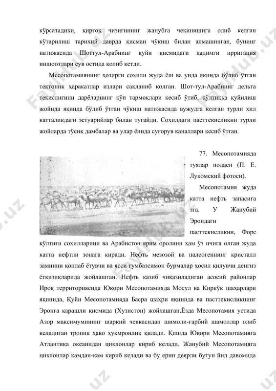 оотлари сув остида қолиб кетди. месопотамиянинг ҳозирги соҳили жуда ёш ва унда яқинда бўлиб ўтган тектоник ҳаракатлар излари сақланиб қолган. шот-тул-арабнинг дельта текислигини дарёларнинг кўп тармоқлари кесиб ўтиб, қўлтиққа қуйилиш жойида яқинда бўлиб ўтган чўкиш натижасида вужудга келган турли хил катталикдаги эстуарийлар билан тугайди. соҳилдаги пасттекисликни турли жойларда тўсиқ дамбалар ва улар ёнида суғорув каналлари кесиб ўтган. 77. месопотамияда туялар подаси (п. е. лукомский фотоси). месопотамия жуда катта нефть запасига эга. у жанубий эрондаги пасттекисликни, форс қўлтиғи соҳилларини ва арабистон ярим оролини ҳам ўз ичига олган жуда катта нефтли зонага киради. нефть мезозой ва палеогеннинг кристалл заминни қоплаб ётувчи ва ясси гумбазсимон бурмалар ҳосил қилувчи денгиз ётқизиқларида жойлашган. нефть қазиб чиқазиладиган асосий районлар ироқ территориясида юқори месопотамияда мосул ва киркўк шаҳарлари яқинида, қуйи месопотамияда басра шаҳри яқинида ва пасттекисликнинг эронга қарашли қисмида (хузистон) жойлашган.ёзда месопотамия устида азор максимумининг шарқий чеккасидан шимоли-ғарбий шамоллар олиб келадиган тропик ҳаво ҳукмронлик қилади. қишда юқори …