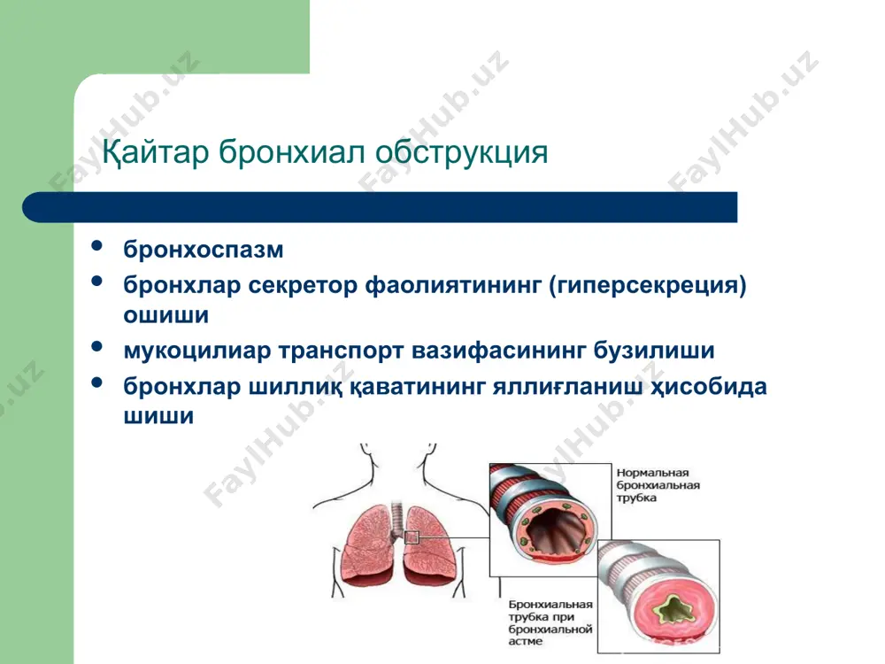 гуруҳга бўлинади: 1.қисқа таъсир этувчи игкс лар беклометазон дипропионат (беклазон, бекотид, альдецин, бекло-форте, бекламед, беклокорд ва бошқалар) 50, 100, 200, 250 мкг ли дозаланган аэрозоллар ҳолида чиқарилади. уларни кунда 4 марта бўлиб ишлатилади. беклозон 100, 250 мкг ли дозаланган аэрозол бўлиб, кунда касалликнинг оғир-енгиллигидан келиб чиқиб 400-1500 мкг гача буюрилади. беклокорд 80, 250 мкг ли дозаланган (200 доза) аэрозол. кунда 400 - 1200 мкг гача тавсия этилади. альдецин 50 мкг ли 200 дозадан чиқарилади. препарат кунда 800-1200 мкг гача ишлатилади. даво курси бошлангандан сўнг, таъсири 5-6 кундан кейин маълум бўлади. узоқ таъсир этувчи игкс узоқ таъсир этувчи игкс лар гуруҳига будесонид (пульмикорт, бенакорт, будесонид форте), флютиказон пропионат (фликсотид), флунизолид гемигидрат (ингокорт) лар киради. уларнинг кунлик дозаси одатда 2 қисмга бўлиниб, эрталаб ва кечқурун ишлатилади. узоқ таъсир этувчи игкс ларни ба нинг барча босқичларидаги беморларга буюриш қулай бўлиб, улар бошқа препаратларга бўлган эҳтиёжни ва ножўя таъсирларни камайтиради. 1. β2-агонистлар – уларнинг …