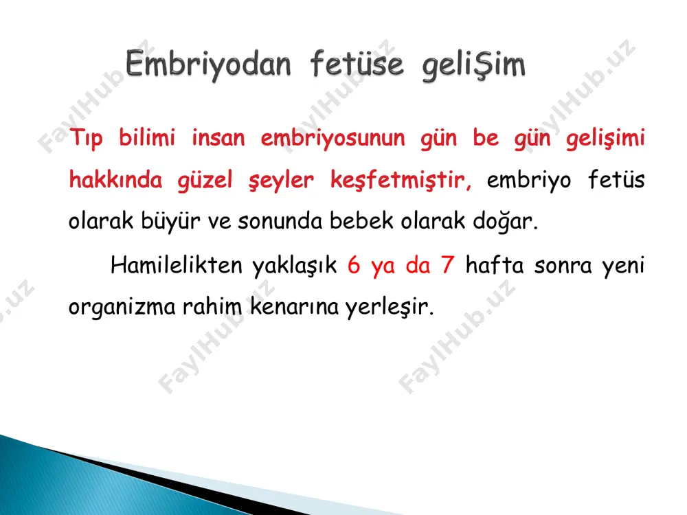 u haftada bebeğin el ve ayak tırnakları belirir.aynı zamanda bebeğin çenesi ve burnu daha belirgin bir biçimde oluşmuştur. § sağlıklı yaşam tarzı seçenekleri —hatta hamilelik öncesi başlanır — bebeğin gelişimini destekleyebilir. § hamileliğin ilk birkaç ayı gözle görülmeyen ama şaşırtıcı bilgilerle işaretlenir. vücut § hassa göğüsler. § mide bulantısı nöbetleri. § alışılmamış fiziksel bitkinlik. § baş dönmesi. § artan urinasyon. § hamilelik ilerledikçe bebek kendini daha çok hissettirmeye başlar. § karın büyür. § doğum öncesi kontrollerde bebeğin kalp atışı duyulabilir. § bebek hızla olgunlaşmaya başlar. § i̇ki ay önce bebek sadece bir hücre kümesiydi. § şimdiyse fonksiyon gösteren organlara,sinirlere ve kaslara sahiptir. i̇ki̇nci̇ üç aylik dönem 13. hafta: bebek esner ve tekmeler § bebek sarsıntılı bir tarzla hareket edebilir-kollarını bükme ya da ayaklarıyla tekme atma gibi. § hatta bebek bu hafta belki baş parmağını ağzının içine götürebilir. § bebeğin göz kapakları onun gelişen gözlerini korumak için birleşmiştir. § kemik haline …