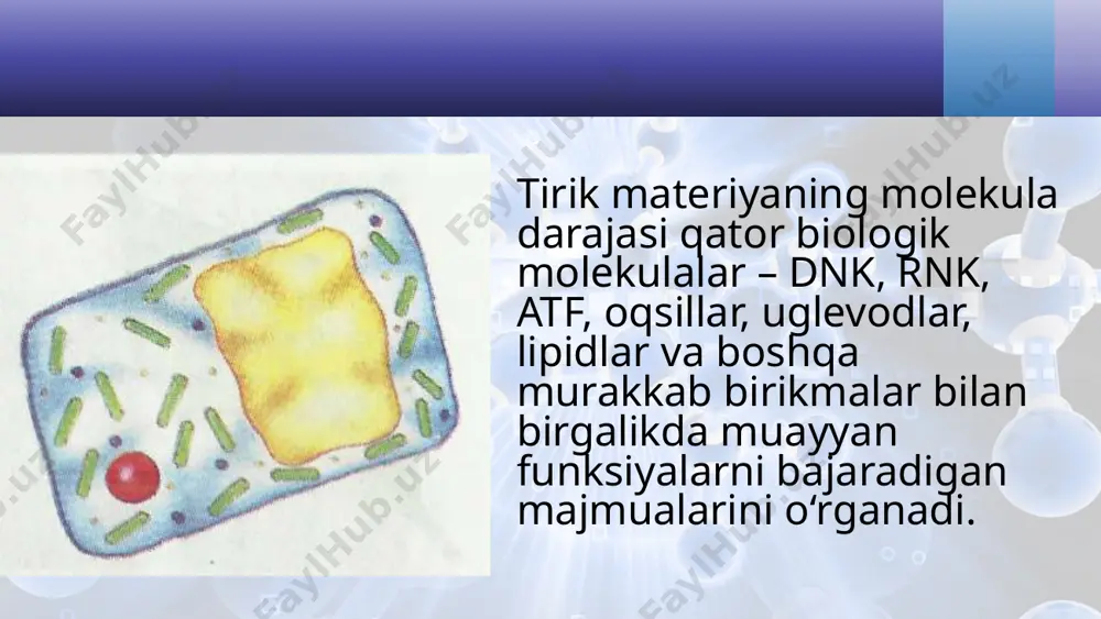 hayotning molekula darajasi va uning o‘ziga xos jihatlari. 10 - sinf - Page 5