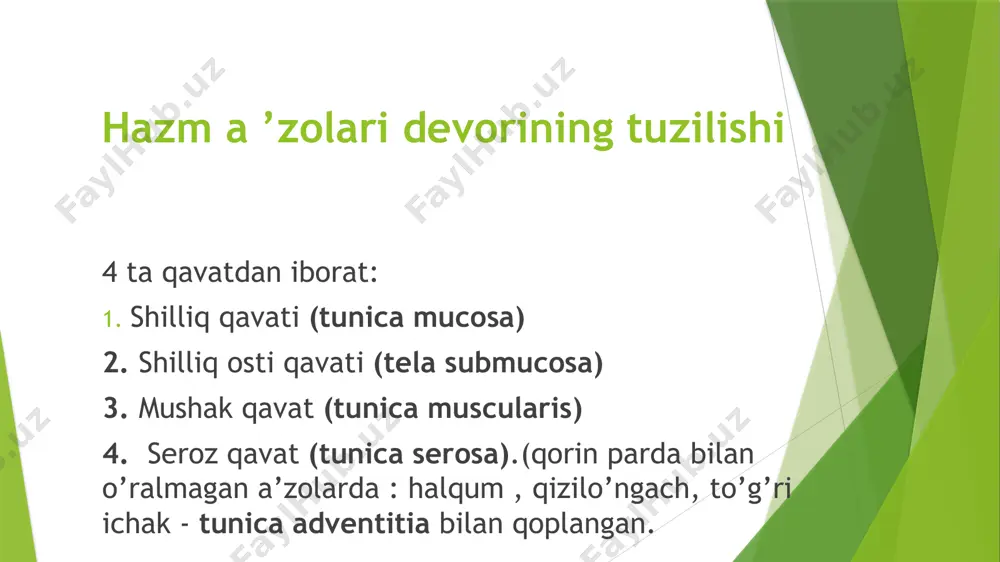 ovqat hazm qilish a’zolarining tuzulishi - Page 5