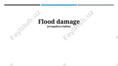 flood damage — PPTX
