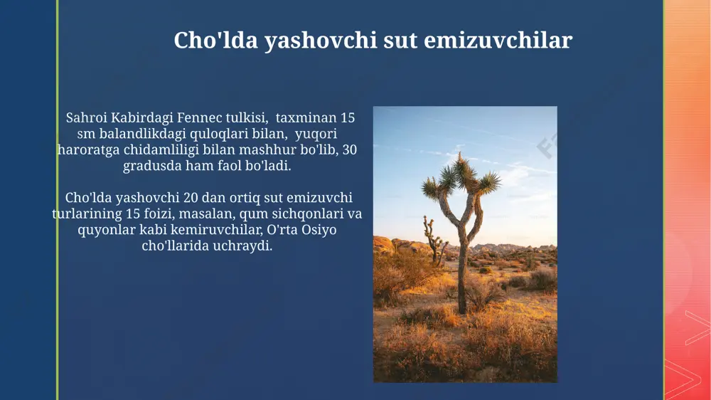 cho'l. cho'l hayvonlari va o'simliklari - Page 5