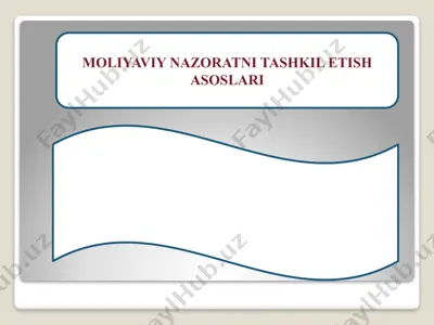 moliyaviy nazoratni tashkil etish asoslari — PPTX