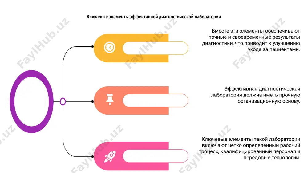 организационные основы клинико-диагностической лаборатории - Page 5