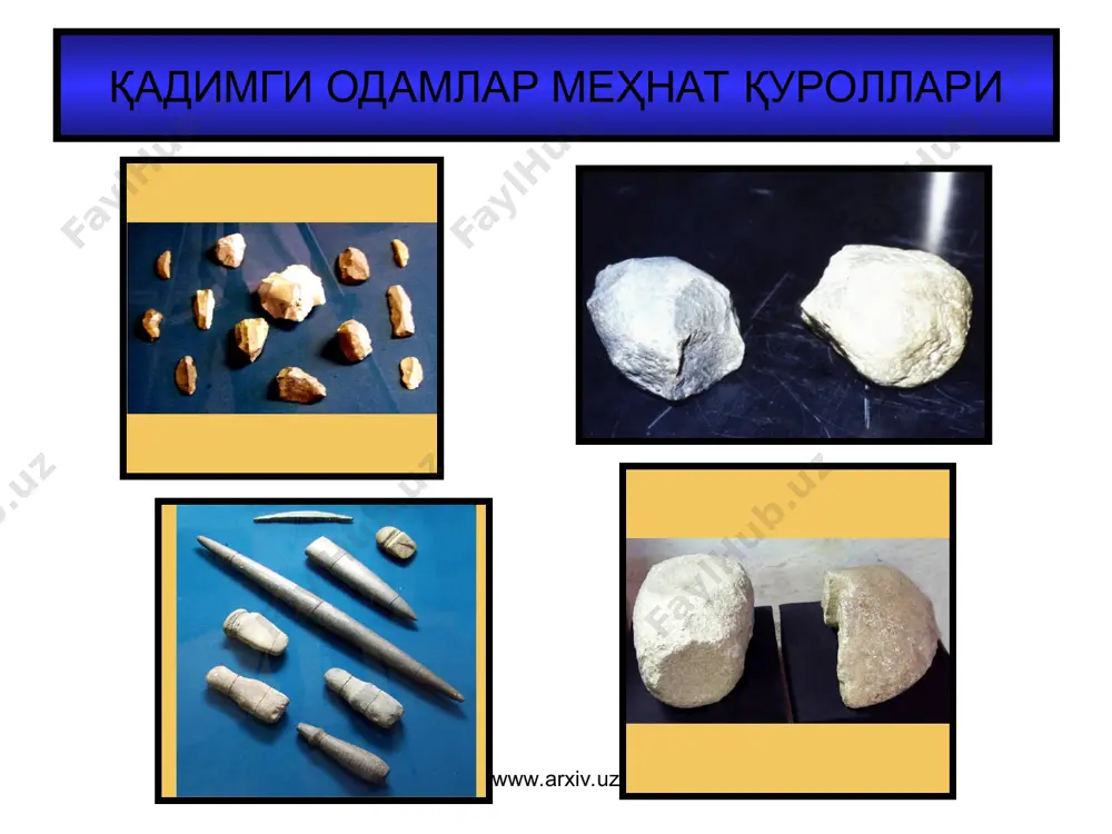 қариш кучларининг ривожи www.arxiv.uz тош даври керамикаси намуналари www.arxiv.uz www.arxiv.uz тош даври санъати намуналари www.arxiv.uz www.arxiv.uz энеолит (мис-тош дави) - м.авв. 4 – 3 минг йилликлар www.arxiv.uz кашфиётлар: мис – илк металлдан меҳнат қуроллари тайёрлашда фойдаланиш тош меҳнат қуролларини тайёрловчи асосий ашё бўлиб колди. чунки мис эгилувчан ва синувчан эди. ўзгаришлар керамика орнаменти ва шаклида энеолит даврида одамлар мисни эритиш ва қайта ишлов бериш, термачиликдан деҳқончилик билан шуғулланиш, уй ҳайвонларини боқишни бошлаган. бироқ манзилгоҳлар туркманистон жануби ва зарафшоннинг юқори окимида www.arxiv.uz бронза даври м.авв. 3 – i минг йилликлар www.arxiv.uz савдо йўлларининг кашф этилиши буюк ипак йўли лазурит йўли нефрит йўли бронзанинг кашф этилиши буюк ижтимоий янгилик меҳнат қуроллари турларининг кўпайиши меҳнат қуролларини такомиллашуви махсус ҳунармандчилик турлари бронзадан фойдаланиш натижасида ҳудудлараро алоқаларнинг ривожланиши илк давлат ва давлат бирлашмаларининг пайдо бўлиши www.arxiv.uz бронза даври www.arxiv.uz хўжалик асоси: деҳқончилик ва чорвачилик натижада: маҳсулотни ошиб қолиши тенгсизликнинг пайдо бўлишига олиб келди қабила ва …