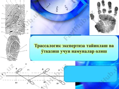 трассалогик экспертиза тайинлаш ва ўтказиш учун намуналар олиш — PPT