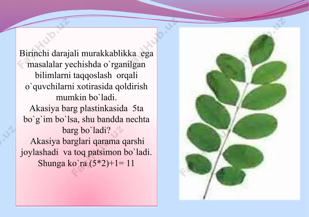 ladi.dikarbon aminokislotalar bundan mustasno. oqsil tuzilishiga oid masalalar ishlashda zarur qonuniyatlar 10 molekulyar genetikaga oid masalalar dnk,rnk sintezi,ular orqali belgilarning yuzaga chiqishi,oqsil sintezi bosqichlari,molekulyar kasalliklar haqida bilimlarini chuqurlashtirish qonuniyatlarini to`liqroq anglashiga imkon beradi. dnk asosan hujayraning yadrosida, shuningdek, mitoxondriya va plastidalarda ham bo‘ladi. dnk nasliy belgilarni saqlash, nasldan naslga o‘tkazish funksiyalarni bajaradi. hujayra yadrosidagi dnk miqdori doimiy. dnk makromolekulyar birikma bo‘lib, og‘irligi o‘n millionlarni va hatto, yuz millionlarni tashkil qiladi. dnk molekulasi bir-biriga o‘ralgan ikkita zanjirdan iborat. nuklein kislotalar tarkibi o ’ta dominantlik dominant allelning geterozigota holida - aa gomozigotaligiga -aa qaraganda o’z belgisini kuchliroq namoyon qiladi. tovuqlarning ayrim zoti kalta oyoqliligi bilan ajralib turadi. bu belgi dominant belgi bo’lib, bir vaqtda tovuq tumshug’ining qisqarishiga ham olib keladi. bu dominant gen bo’yicha gomozigotali jo ’jalar letal hisoblanadi, ya’ni gomozigotali jo’jalarning tumshug’i shunchalik kaltaki, ular tuxum po’stlog’ini yorib chiqa olmasdan halok bo’ladilar. faqat kalta oyoqli tovuqlar yetishtiruvchi xo’jalik inkubatoridan 3000 ta …
