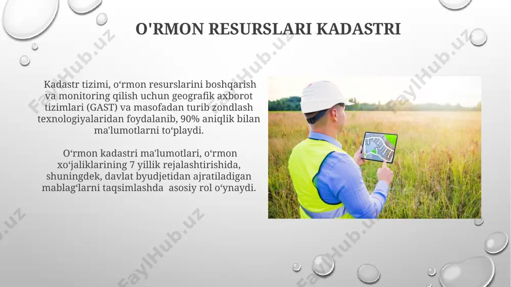 tabiiy resurslar kadastri tizimi - Page 4