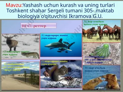 yashash uchun kurash va uning turlari — PPTX
