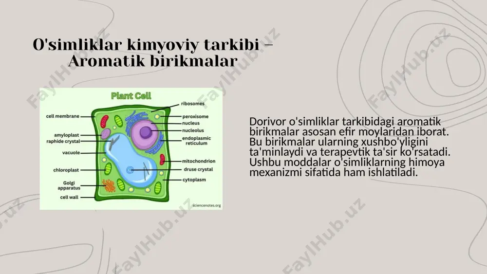 aromatik birikmalar tarkibida aromatik dorivor o'simliklar - Page 5