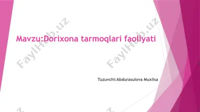 dorixona tarmoqlari faoliyati — PPTX