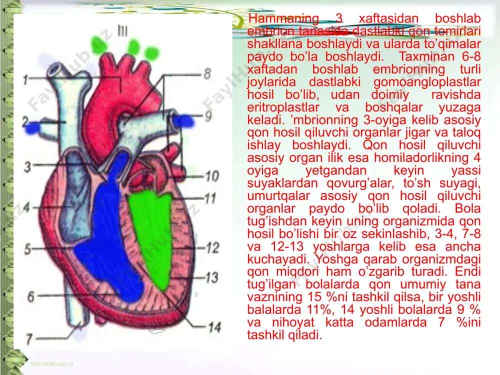 i, odam qusadi, hushidan ketishi mumkin. havodagi suv bug’i miqdori tashqi muhit haroratiga bog’liq. bolalarning nafas olish organlari tuzilishi va funktsiyasiga ko’ra kattalarnikidan farq qiladi. yangi tug’ilgan bolalarda halqum tor va burun teshigi ingichka, kichik bo’lib, shilliq qavat qon va limfa tomirlari bilan ko’p ta’minlangan. gaymarov bo’shlig’i, g’alvirsimon suyakdagi qo’shimcha yo’llar yaxshi rivojlanmagan bo’ladi. gaymarov bo’shlig’i ikki yoshdan kattalasha boradi va 5—6 yoshda rivojlanib bo’ladi. yangi tug’ilgan bolalarning og’iz bo’shlig’idagi va yutqinidagi bezlar nisbatan katta, hiqildog’i qisqa, tar, voronka shaklida bo’lib, tog’aylari yumshoq bo’ladi. hiqildoq 5 yoshda va jinsiy balog’at yoshida jadal rivojlanadi. 3 yoshdan qizlar hiqildog’i shu yoshdagi o’g’il bolalarnikiga nisbatan kichrayadi va toraya boradi. ayollar hiqildog’i erkaklarnikiga nisbatan 1/4 hissa kichik bo’lada. hiqildoqning jinsga bog’liq farqi 10 yoshidan vujudga kelady. tovush yorig’i tor, hiqildoqva tovush boylamlari qisqa bo’ladi. 5 yoshgacha tovush apparati rivojlanib, keyin tovush boylamlari va mustaqil muskullar tez rivojlanadi. ug’il bolalarda 12 yoshdan boshlab qizlarga nisbatan …