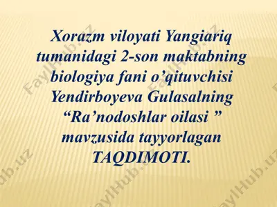 ra’nodoshlar oilasi — PPTX