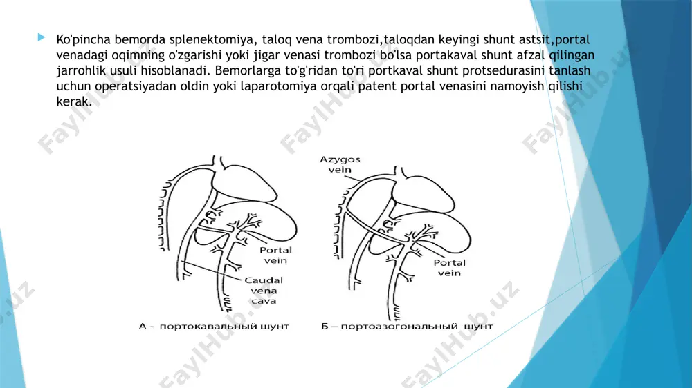 operativ xirurgiya va topografik anatomiya - Page 5