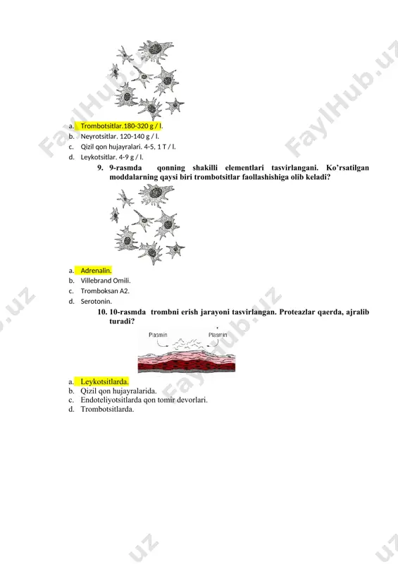 trombozning radiologik diagnostikasi - Page 3